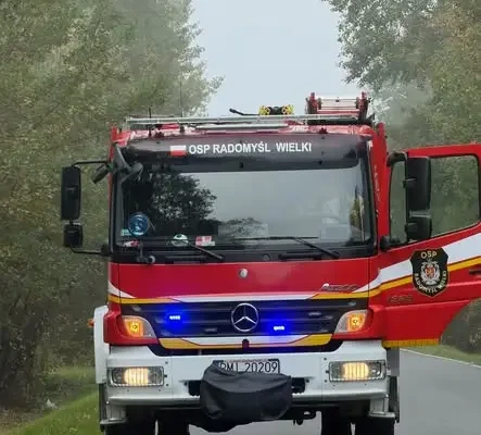 Fałszywy alarm w Dąbiu: strażacy sprawdzali pochylone drzewo