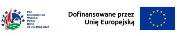 Przecław: budynek komunalny przy stadionie przeszedł gruntowną modernizację