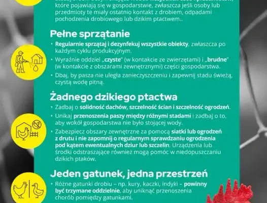 Ptasia grypa: jak zabezpieczyć gospodarstwo i rozpoznać zagrożenie